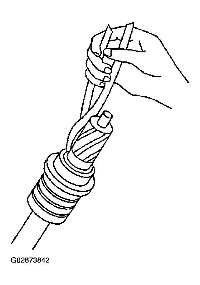 G02873842