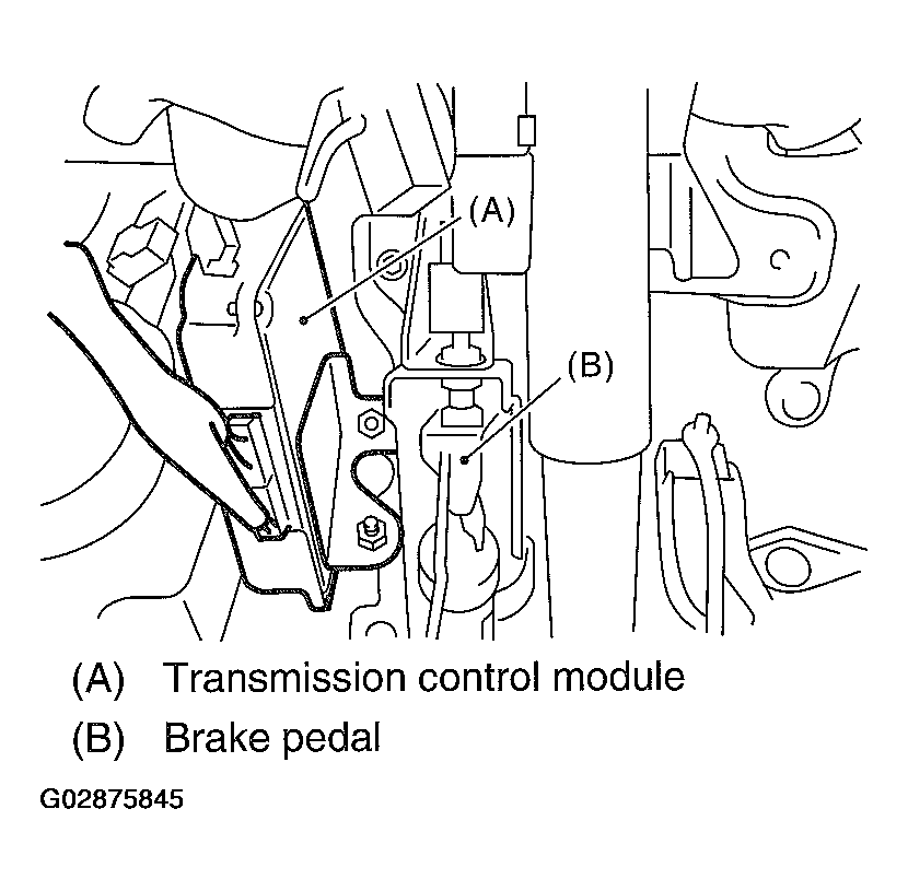 G02875845
