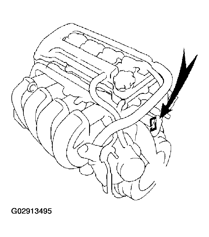 G02913495