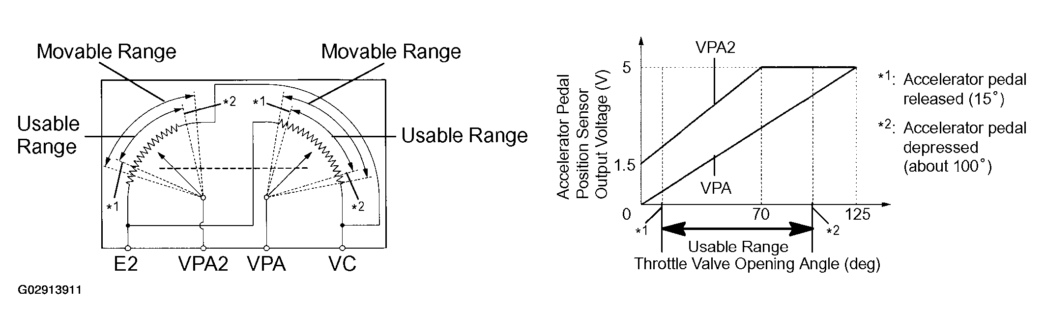 G02913911