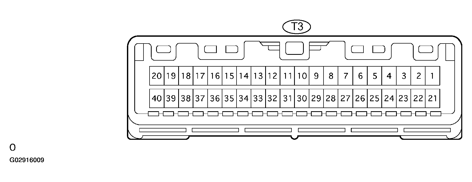 G02916009