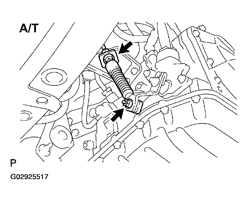 G02925517