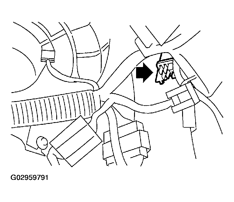 G02959791