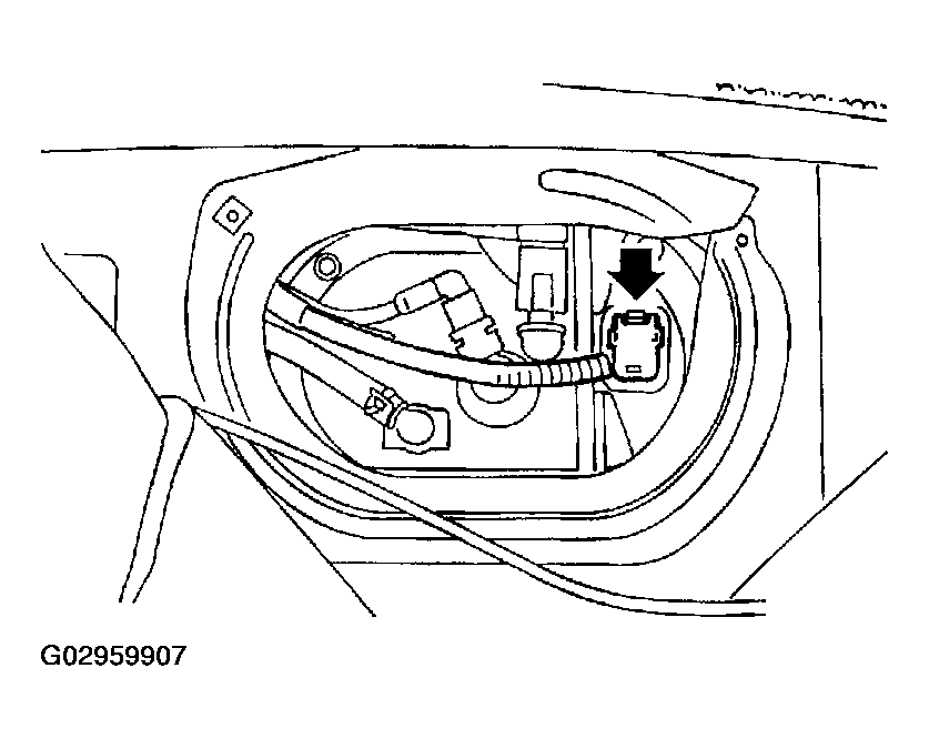 G02959907