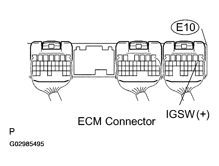 G02985495