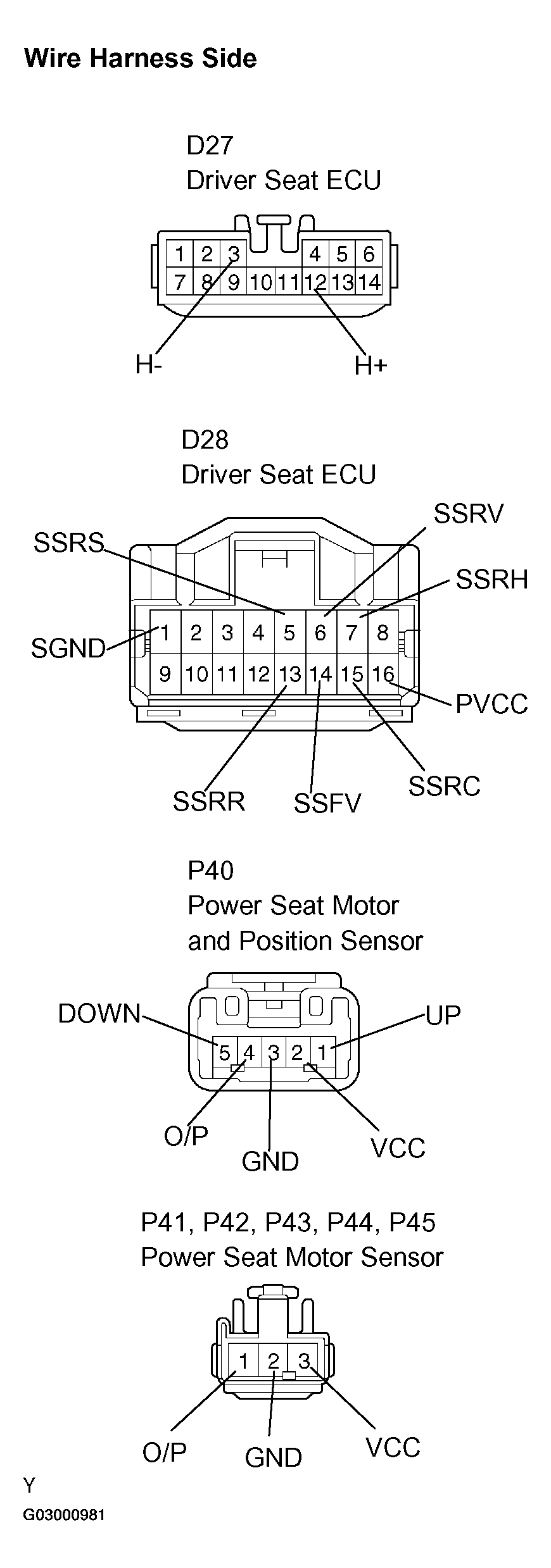 G03000981