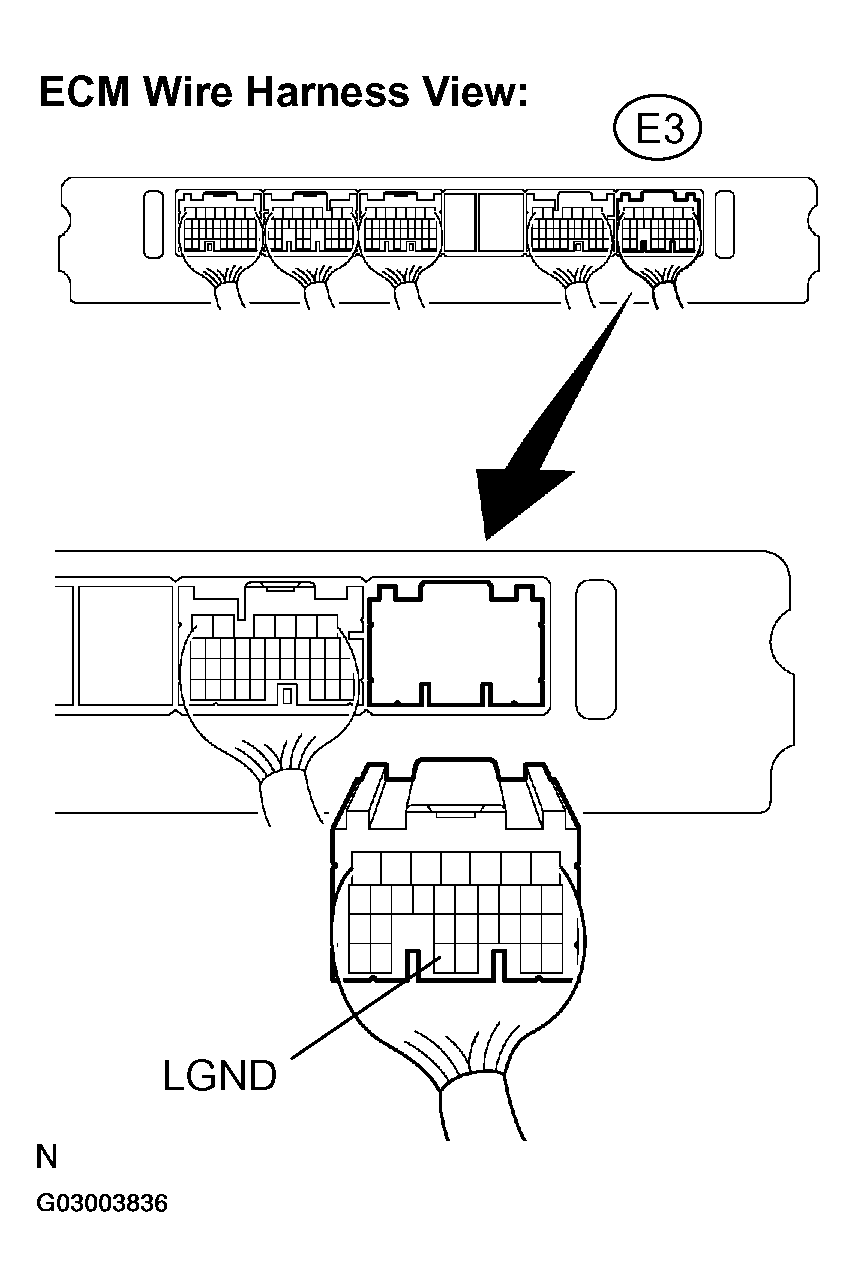 G03003836