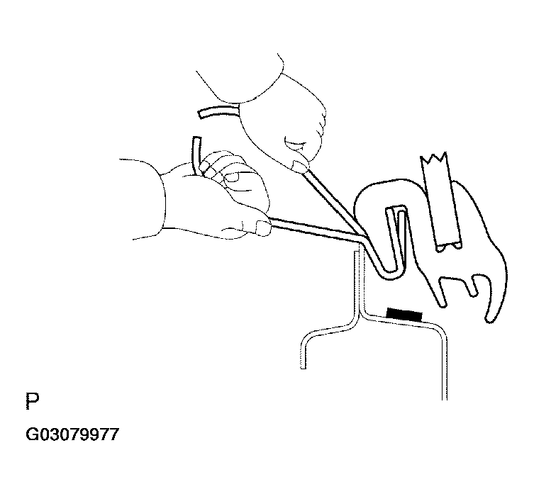 G03079977
