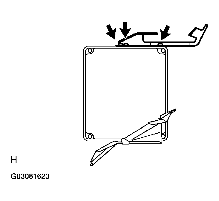 G03081623