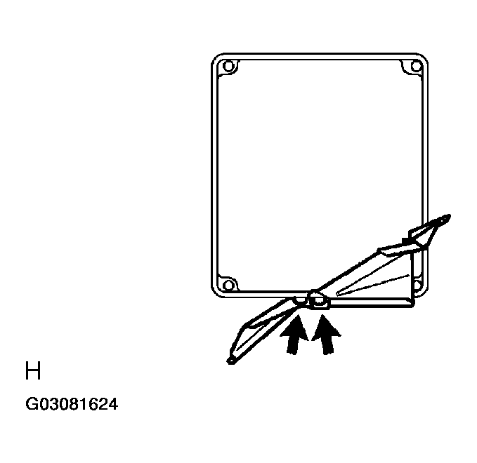 G03081624