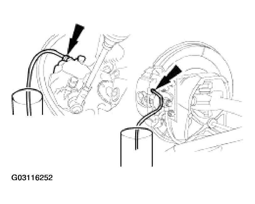 G03116252