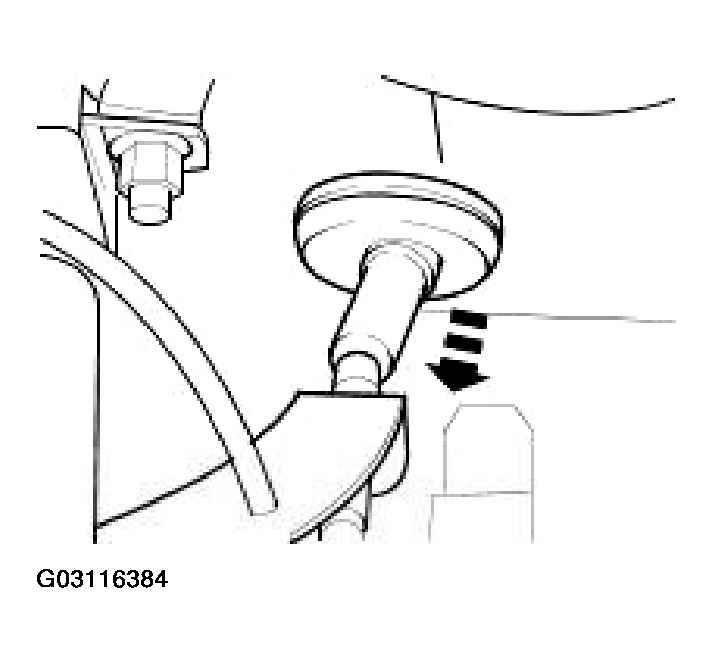 G03116384