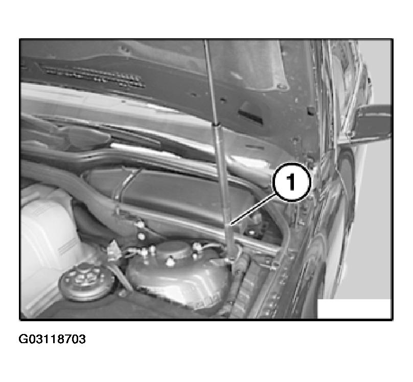 G03118703
