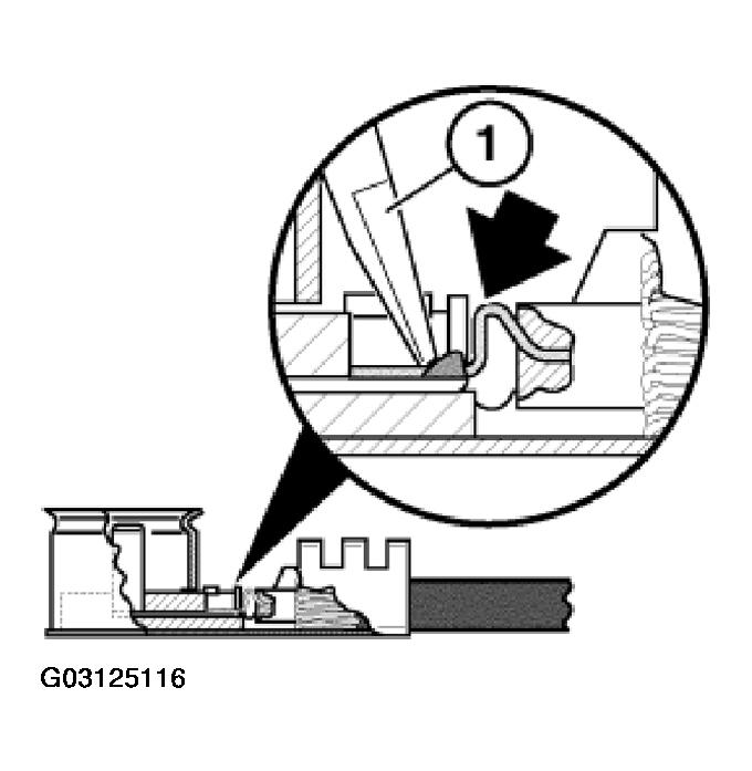G03125116