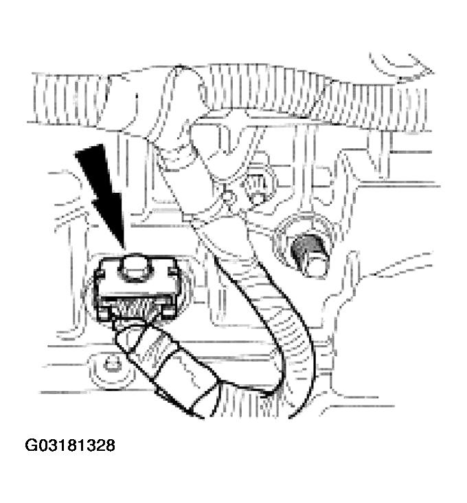G03181328