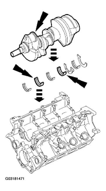 G03181471