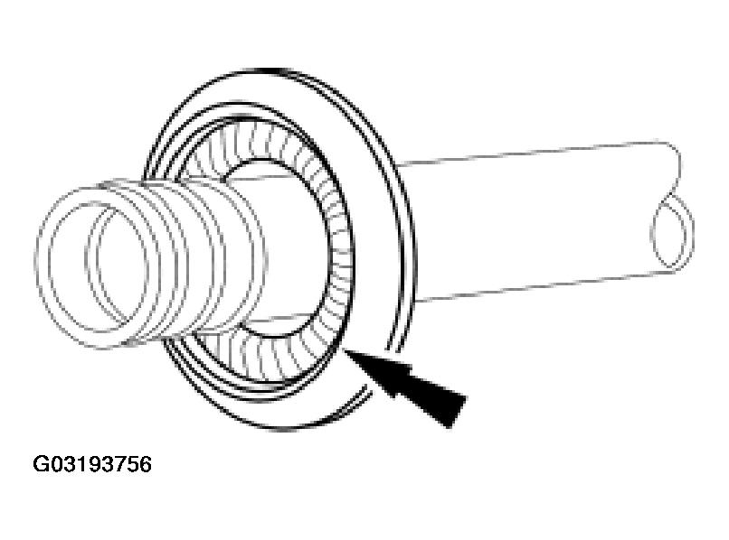 G03193756