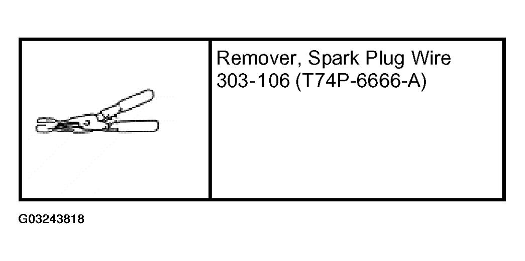 G03243818