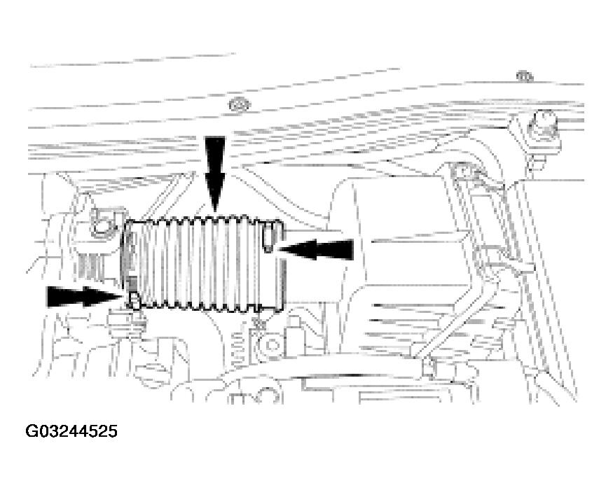 G03244525