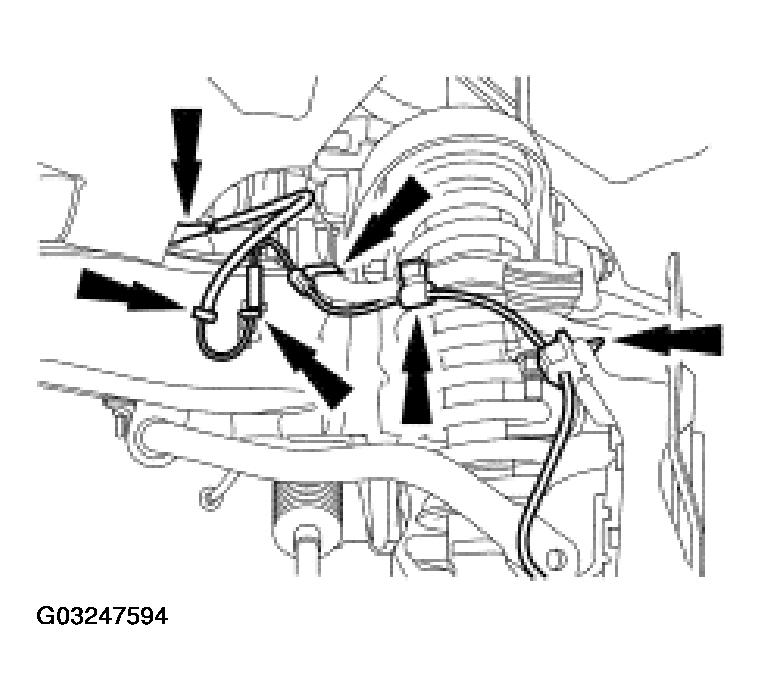 G03247594