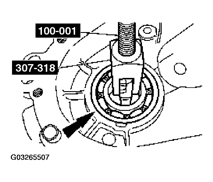 G03265507