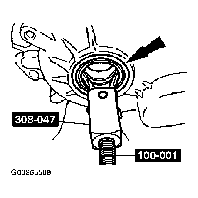G03265508