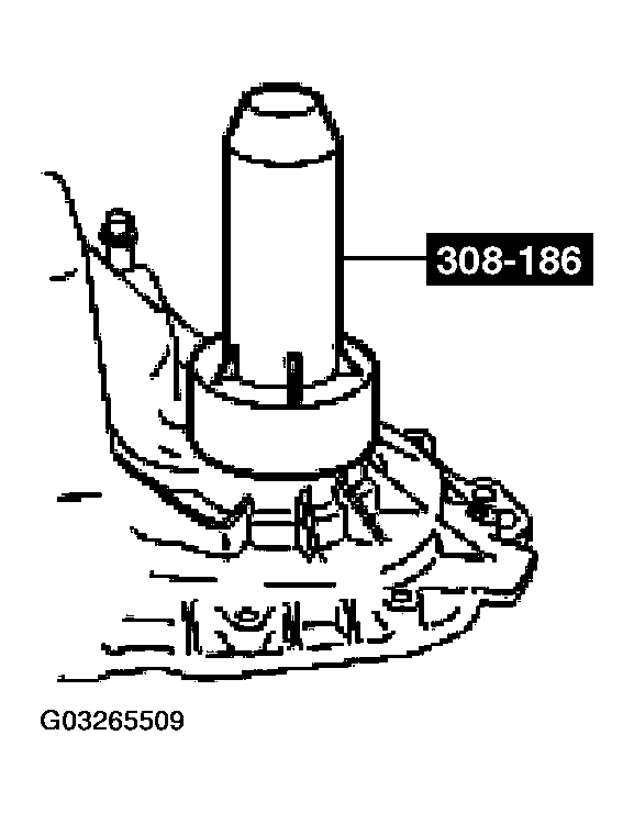 G03265509