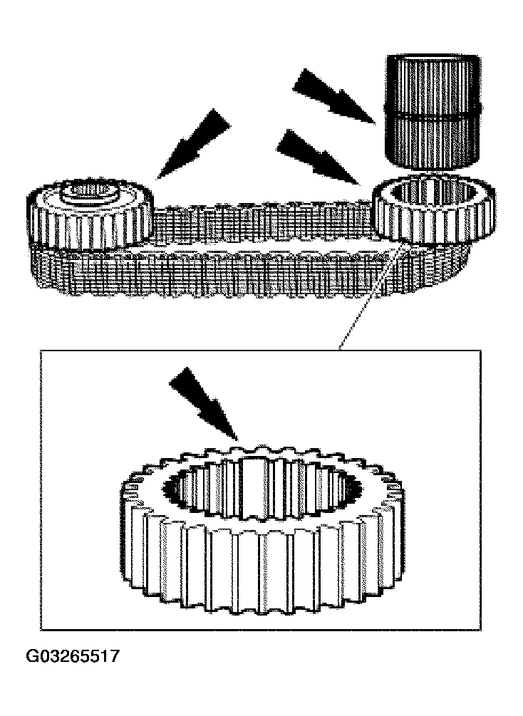 G03265517