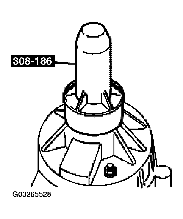 G03265528