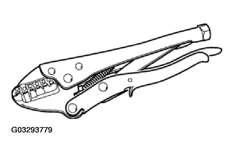 G03293779