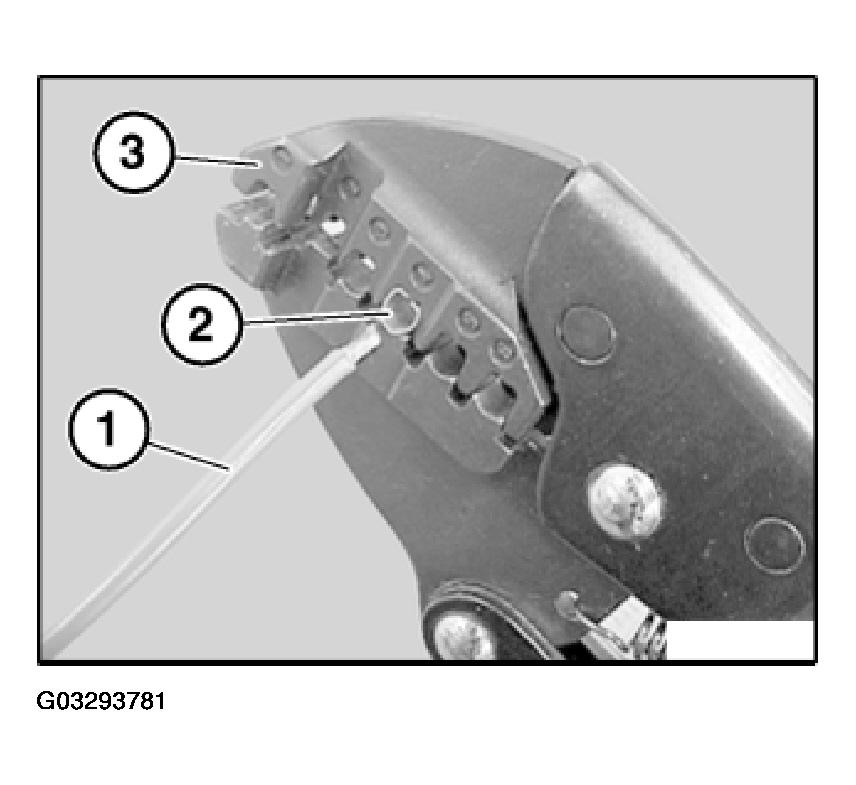 G03293781