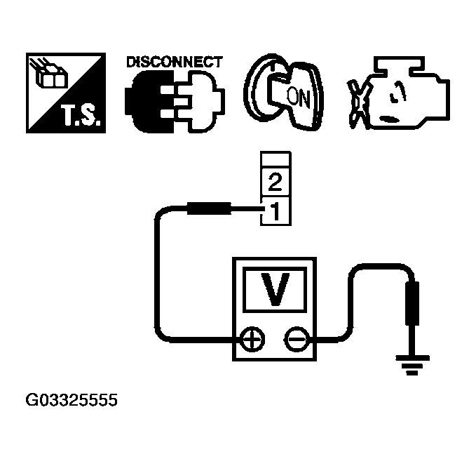 G03325555