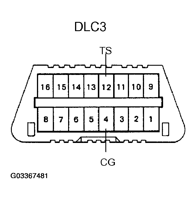 G03367481