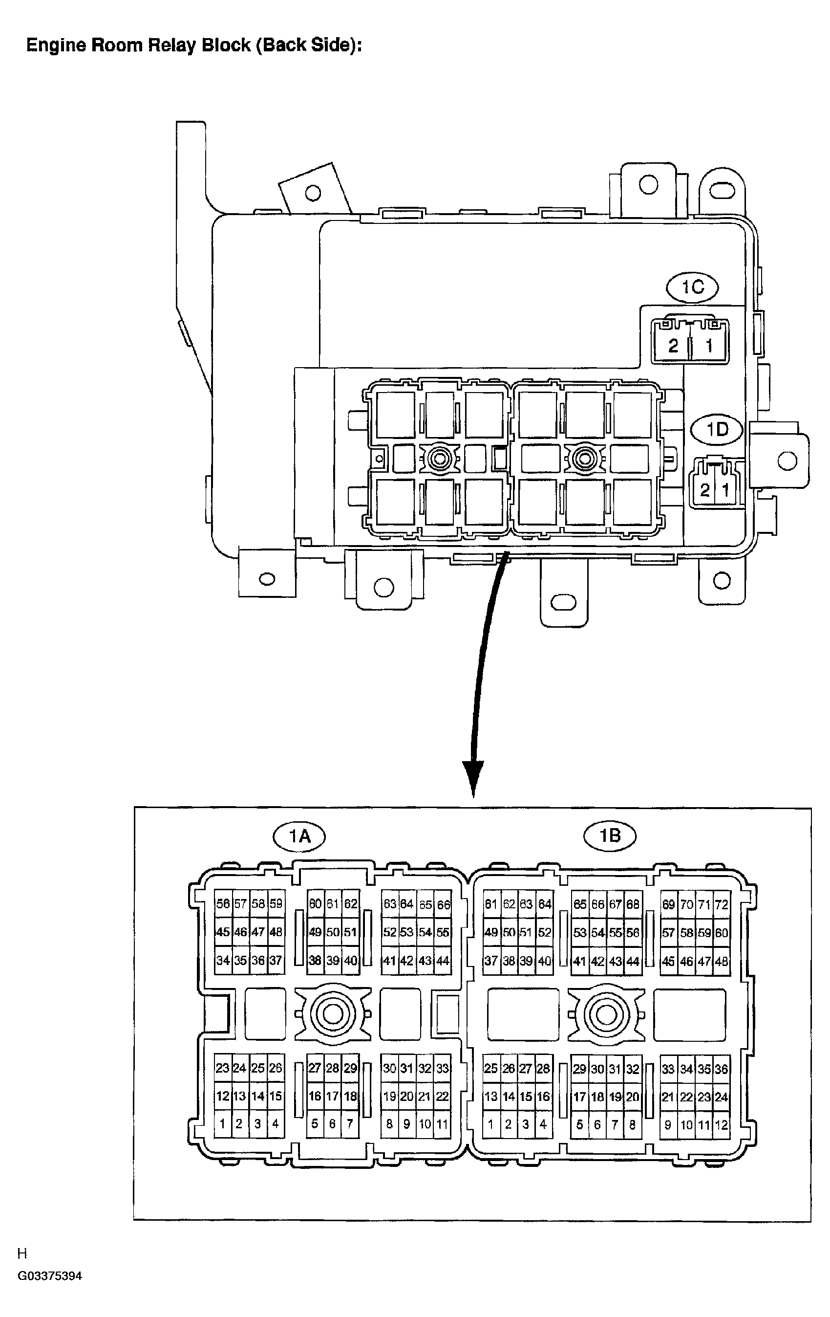 G03375394
