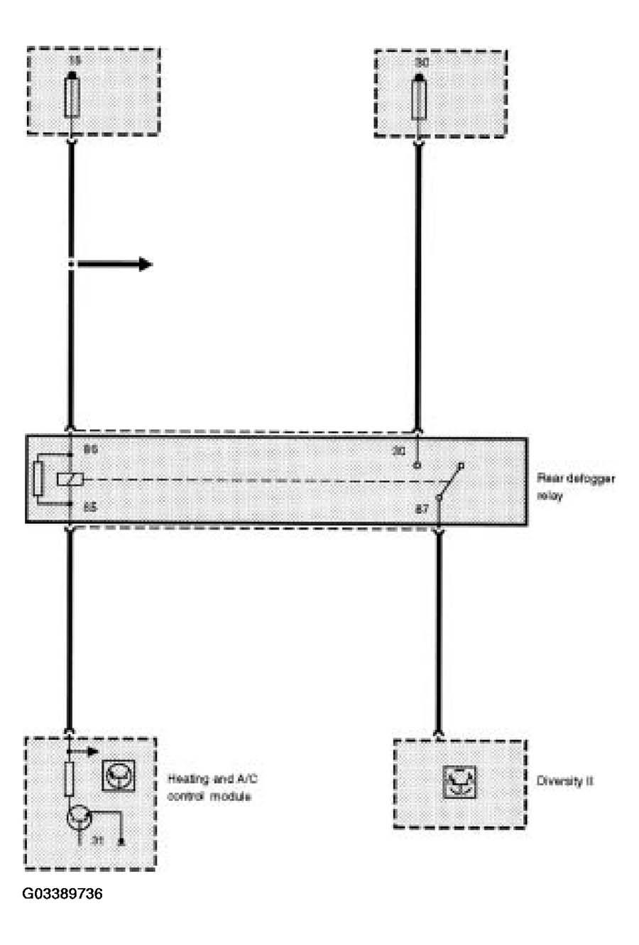 G03389736