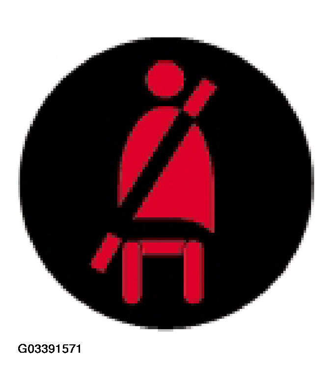 G03391571