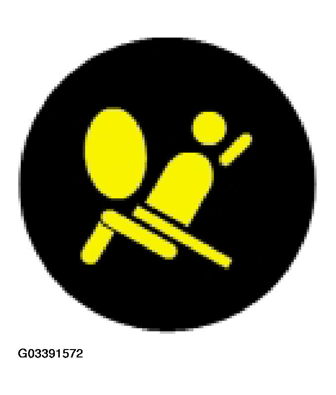 G03391572