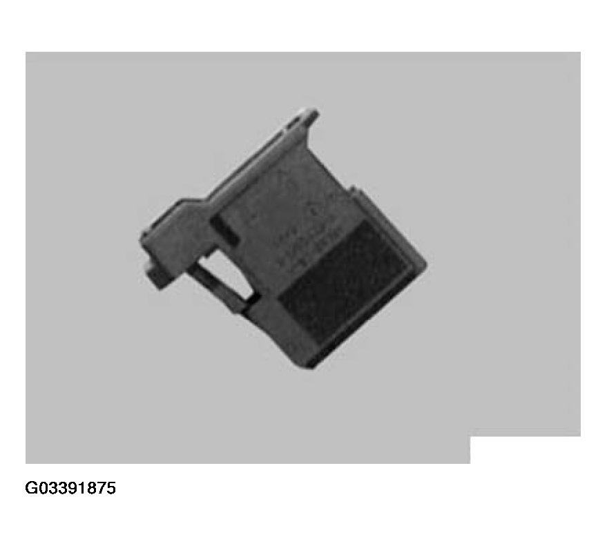 G03391875