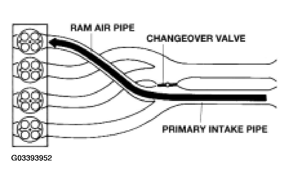 G03393952