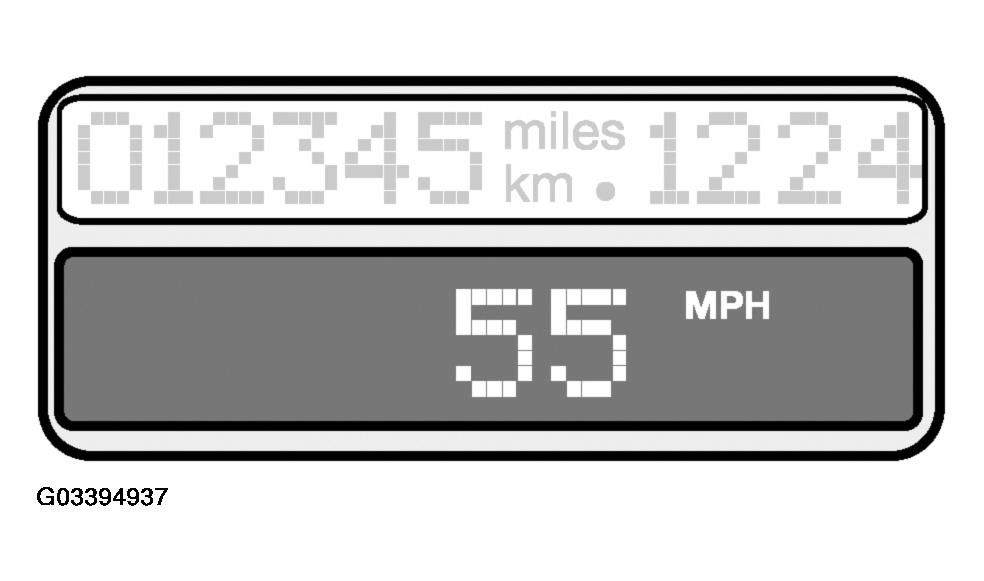 G03394937