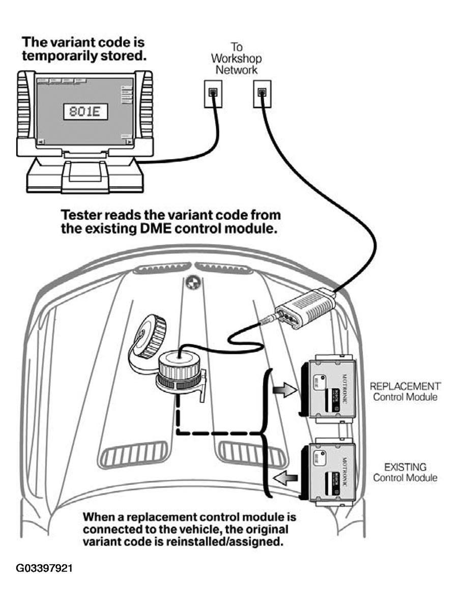 G03397921