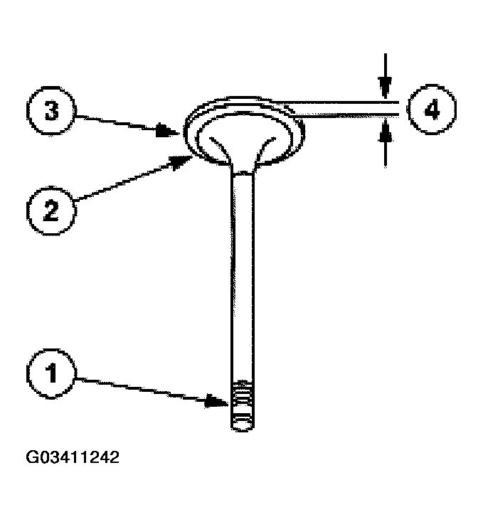 G03411242