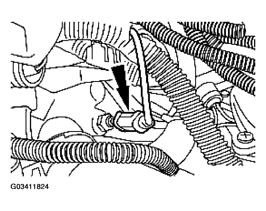 G03411824