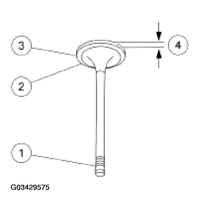 G03429575