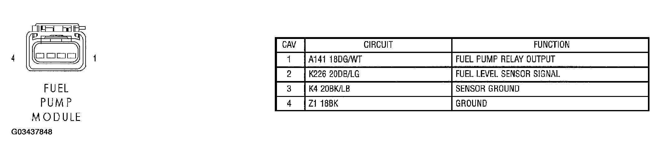 G03437848