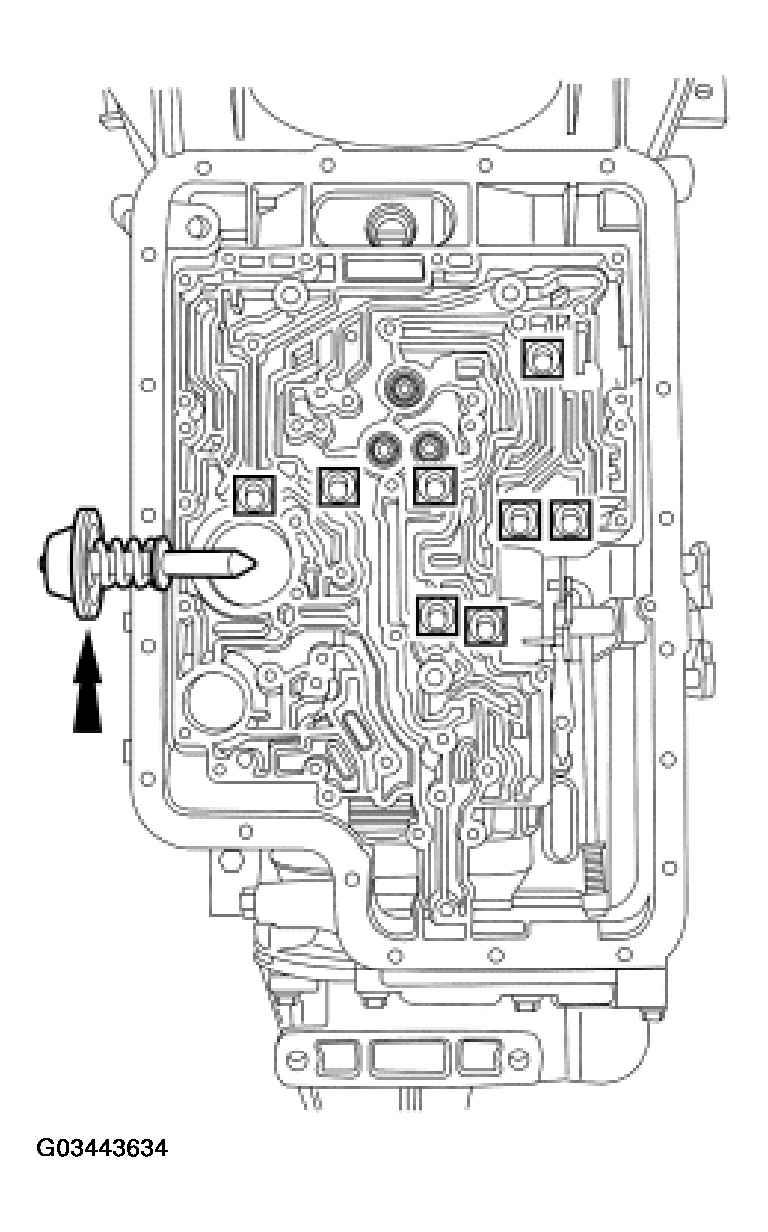 G03443634