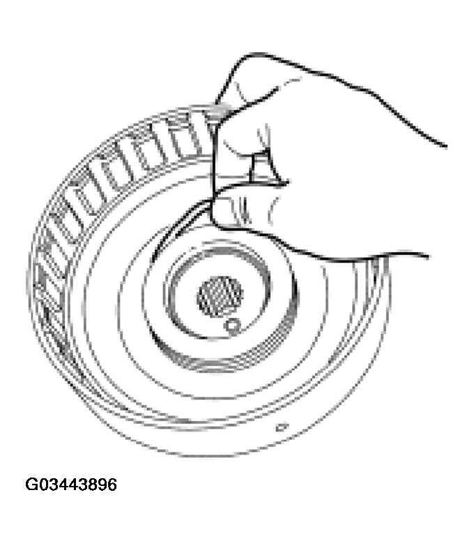 G03443896