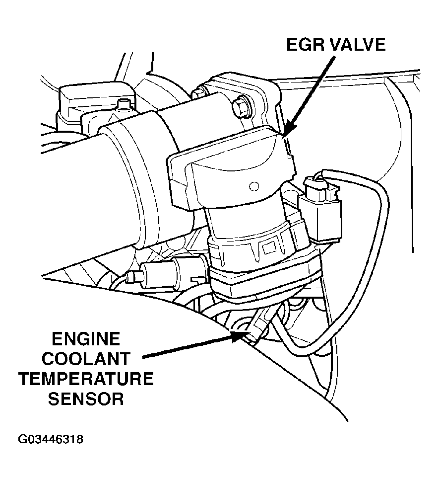G03446318