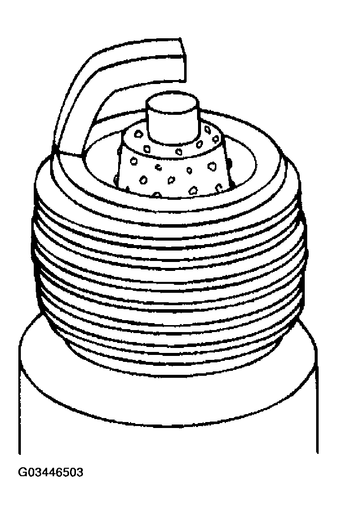 G03446503