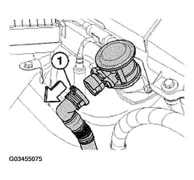 G03455075